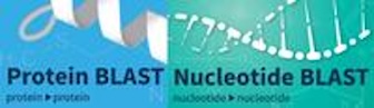 resizedblast_logo