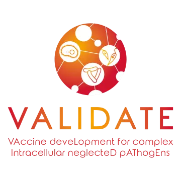 VALIDATE logo