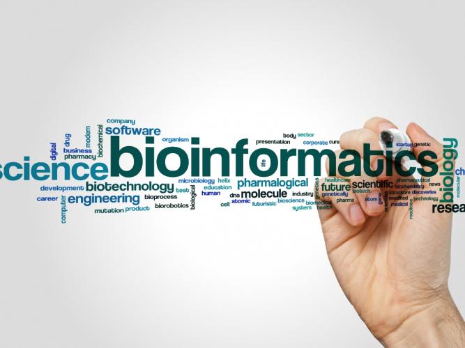 Bioinformatics