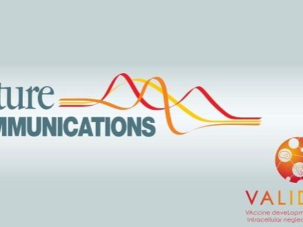 nature communications validate logo