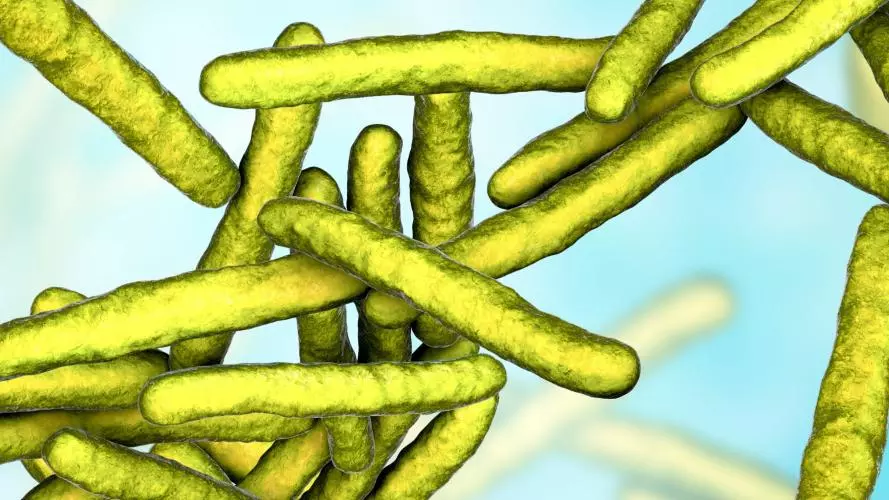 Tuberculosis