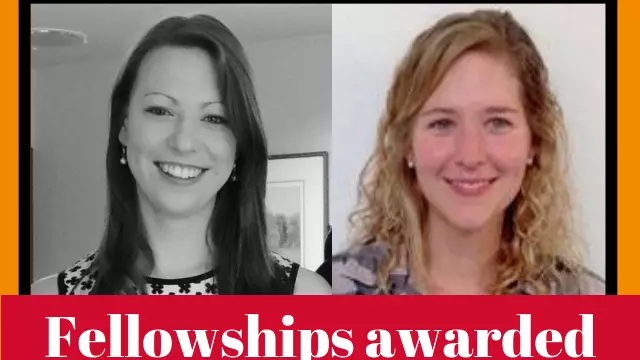 fellowships awarded