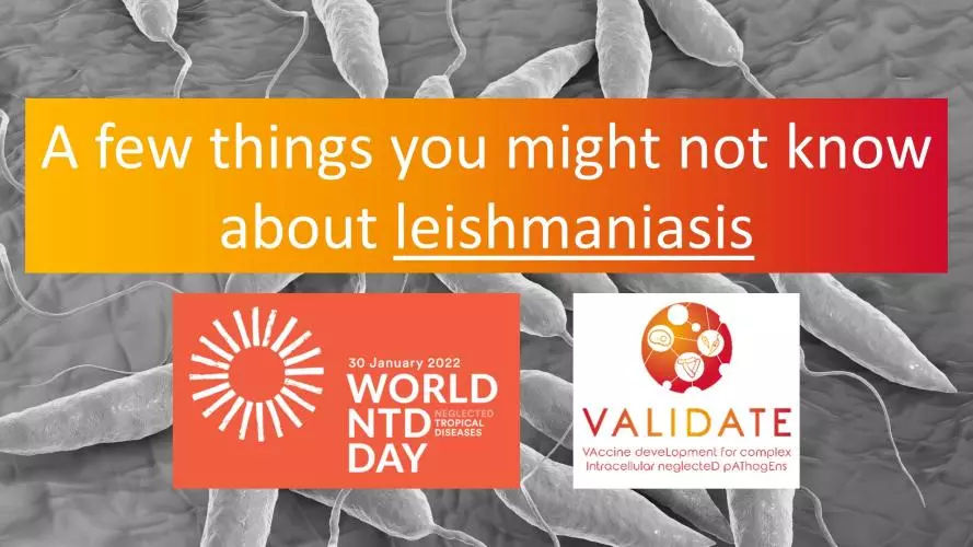 Leishmaniasis Video