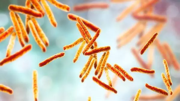 mycobacterium-tuberculosis