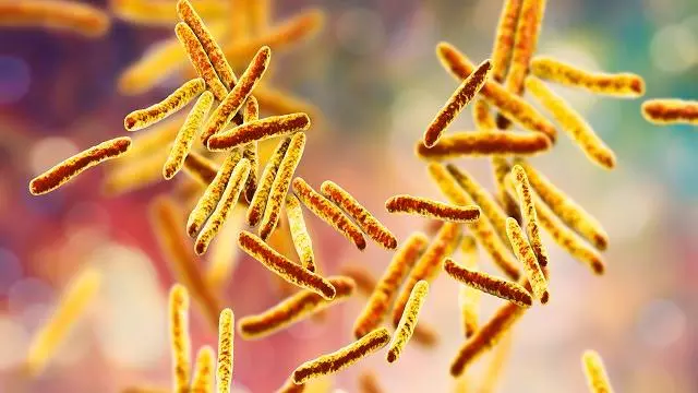 Mycobacterium tuberculosis