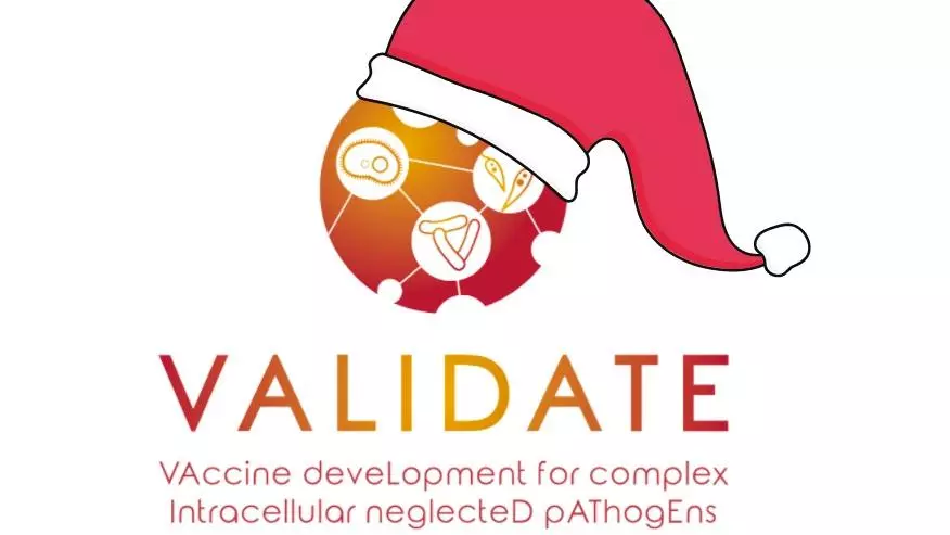 validate christmas