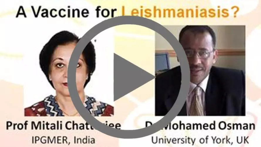 a vaccine for leishmaniasis  watch now