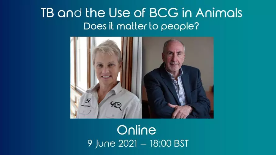 BCG100 TB and BCG for Animals