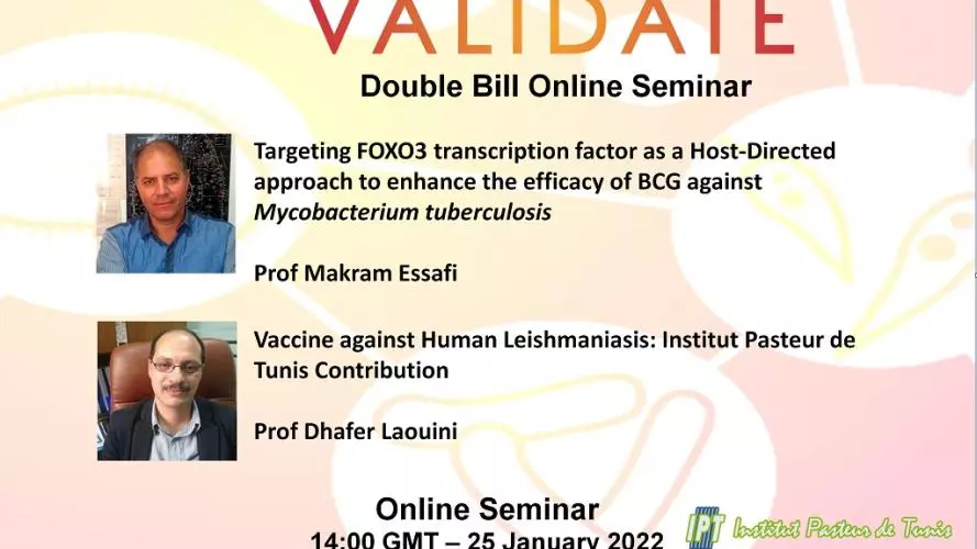 tunis seminar
