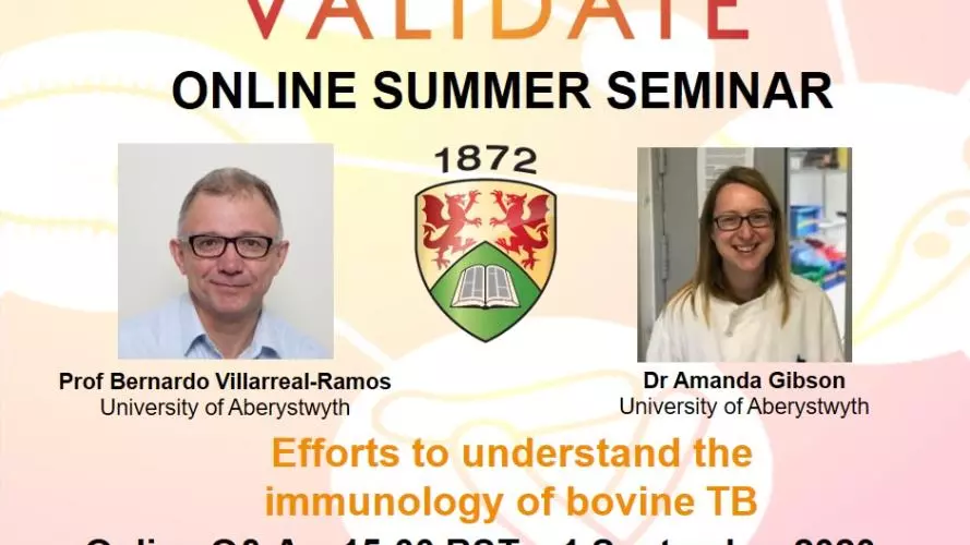 Efforts to understand the immunology of bovine TB