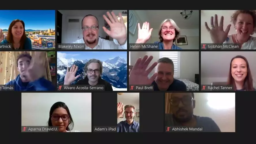 burtnick seminar zoom
