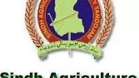 Sindh Agriculture University Tando Jam logo