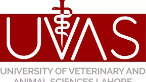 University of Veterinary and Animal Sciences logo