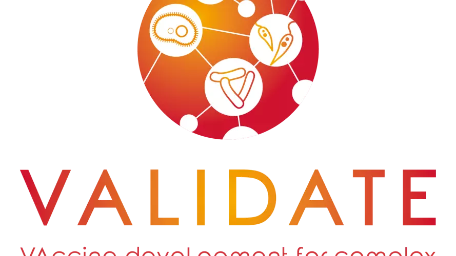 VALIDATE logo