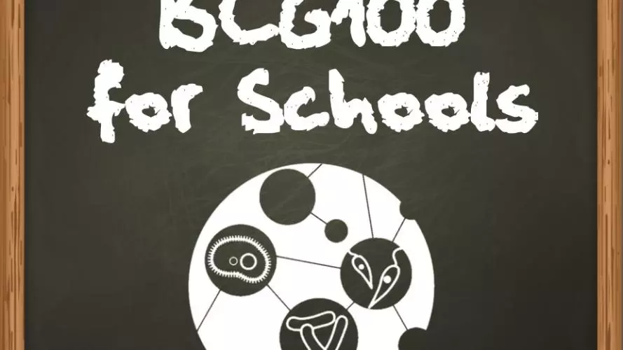 bcg100 for schools square