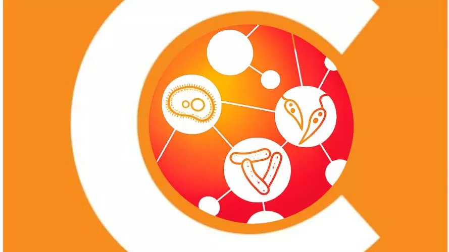 validate canto logo