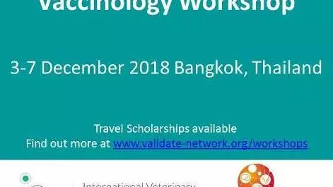 GCRF Vaccine Networks Vaccinology Workshop