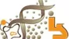 institute of life sciences india