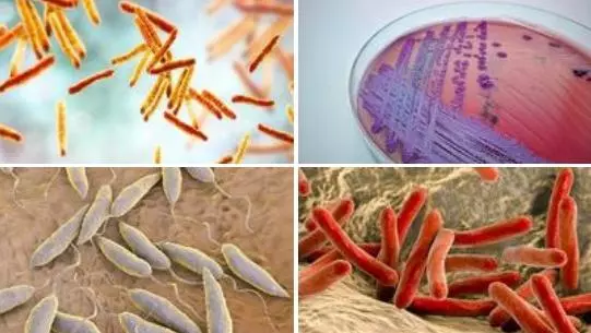 VALIDATE pathogens