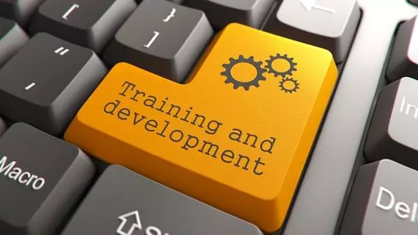 Training and development