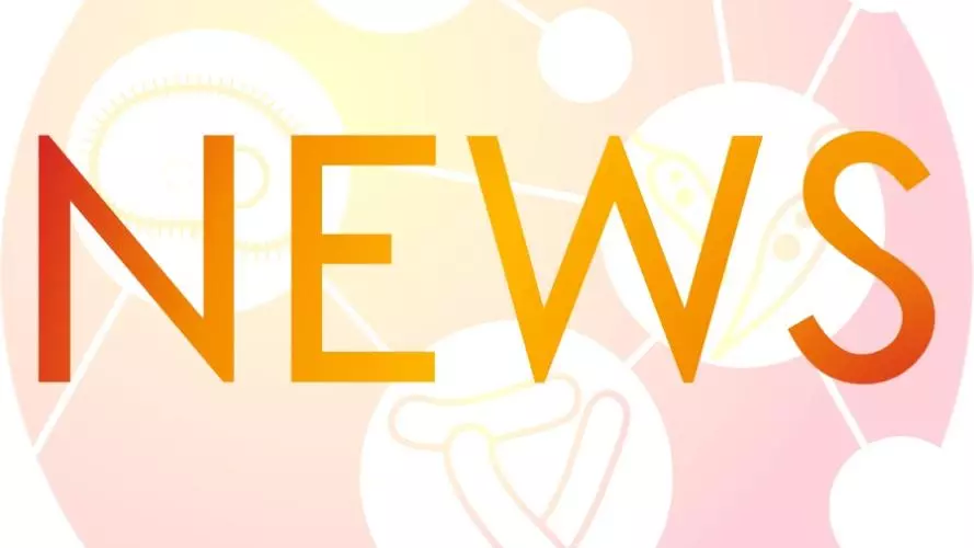 validate news