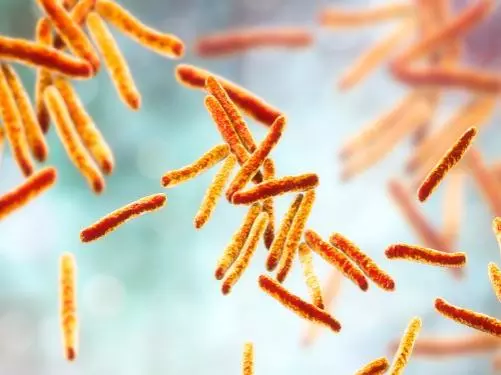 mycobacterium-tuberculosis