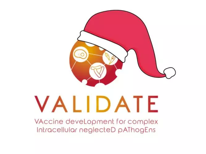 validate christmas