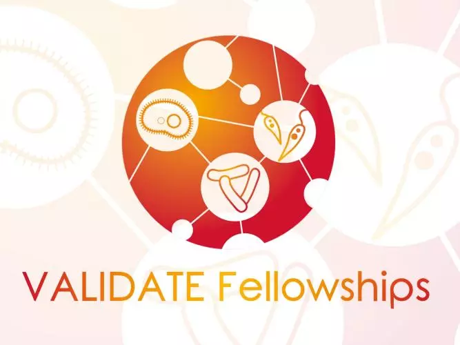 validate fellowships
