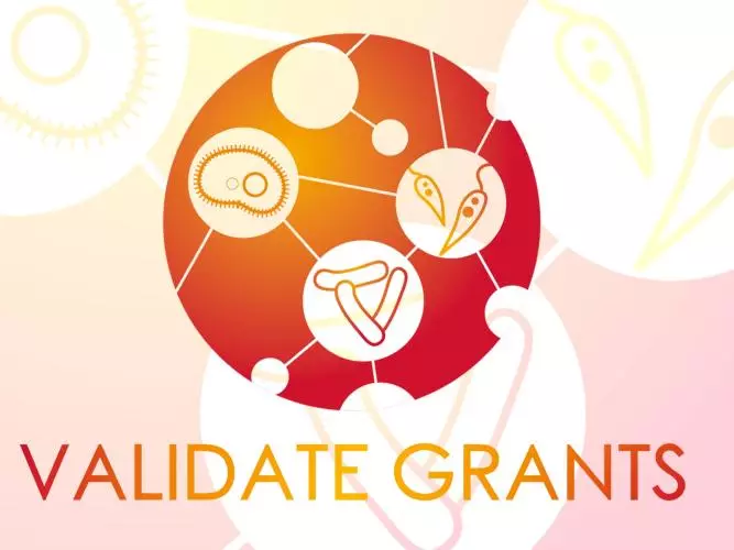 VALIDATE Grants
