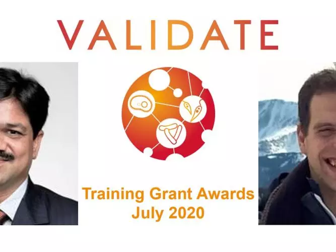 validate july 2020 training grants