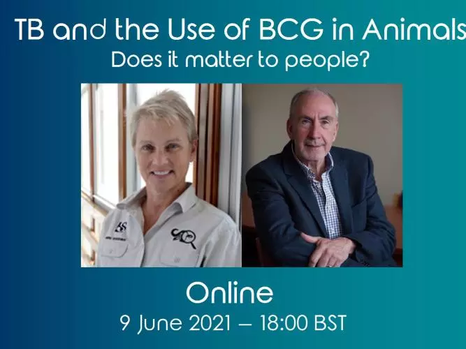 BCG100 TB and BCG for Animals