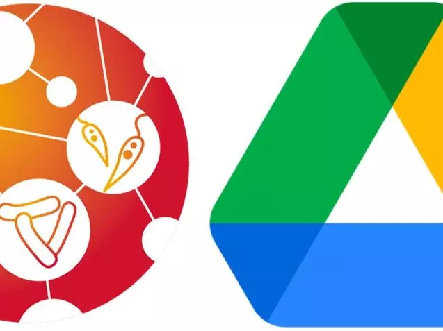 validate google drive