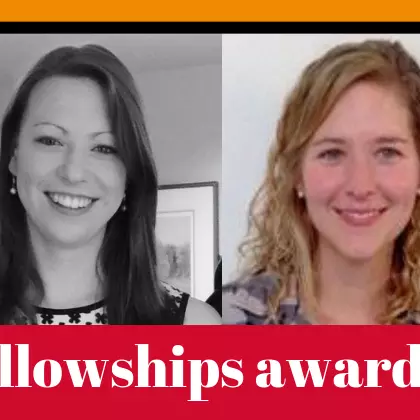 fellowships awarded