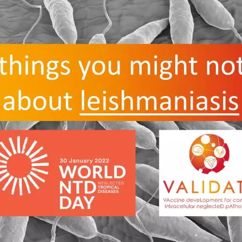 Leishmaniasis Video