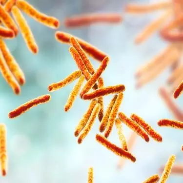 mycobacterium-tuberculosis