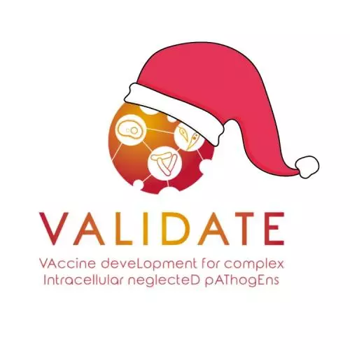 validate christmas