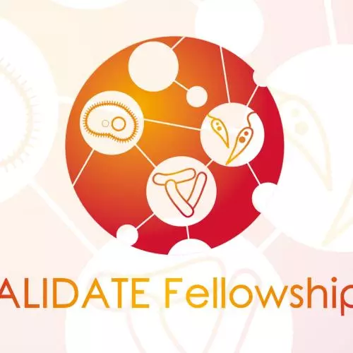 validate fellowships