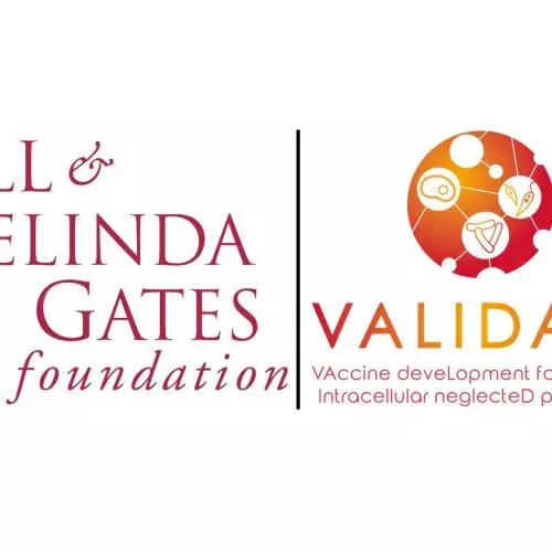 validate gates logos