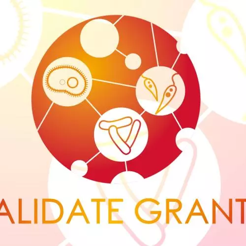 VALIDATE Grants