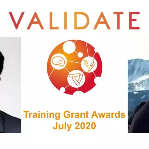 validate july 2020 training grants