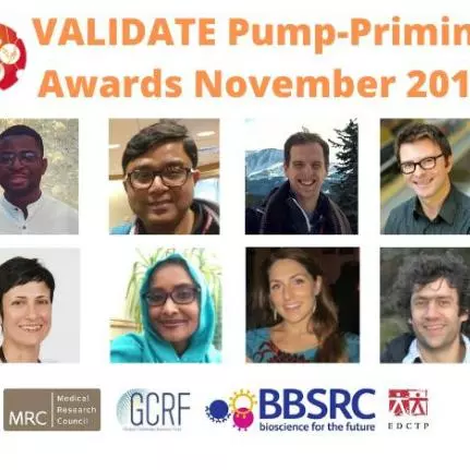 VALIDATE Pump-Priming Awards November 2019