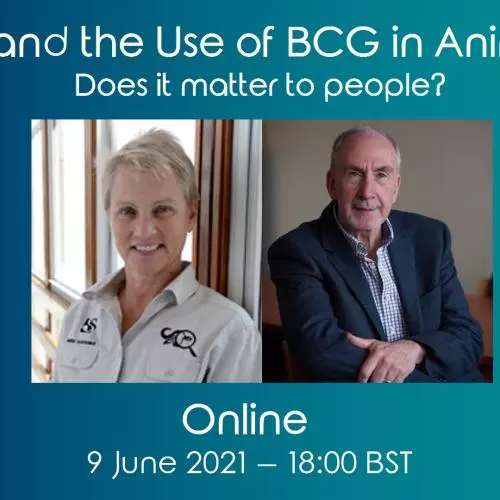 BCG100 TB and BCG for Animals