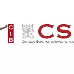CSIC logo