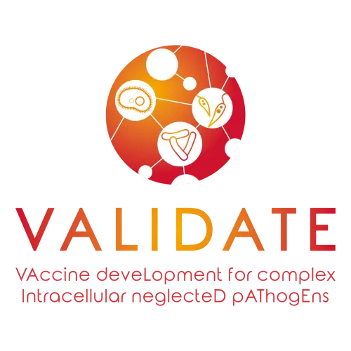 VALIDATE logo