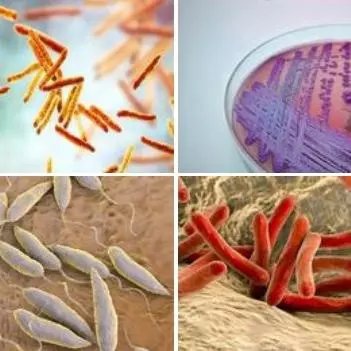 VALIDATE pathogens