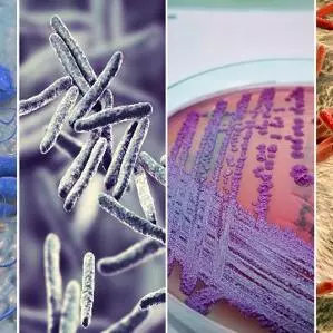VALIDATE Pathogens