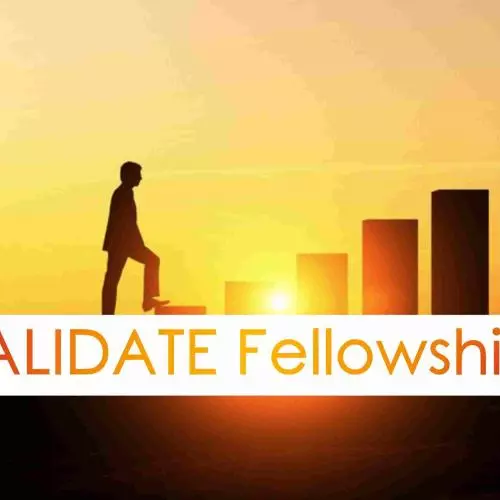 VALIDATE Fellowships