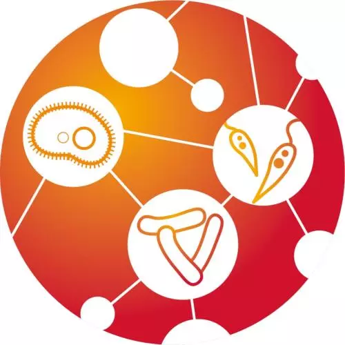 validate logo  big