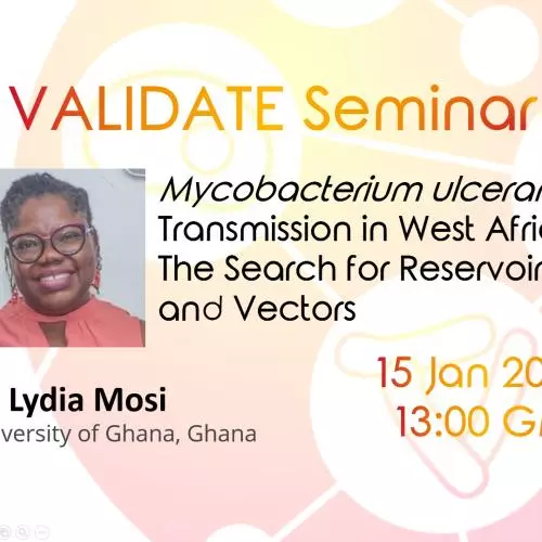Mycobacterium ulcerans Transmission in West Africa:  The Search for Reservoirs and Vectors