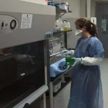 Assoc Prof Burtnick - BSL 3 Lab